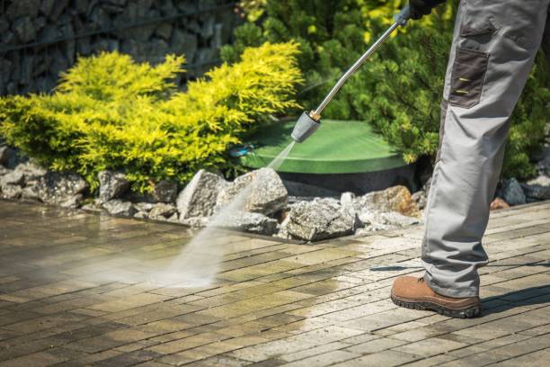 Best House Exterior Washing  in Clifton, CO